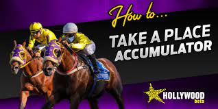 How to Master Horse Betting and Win Consistently